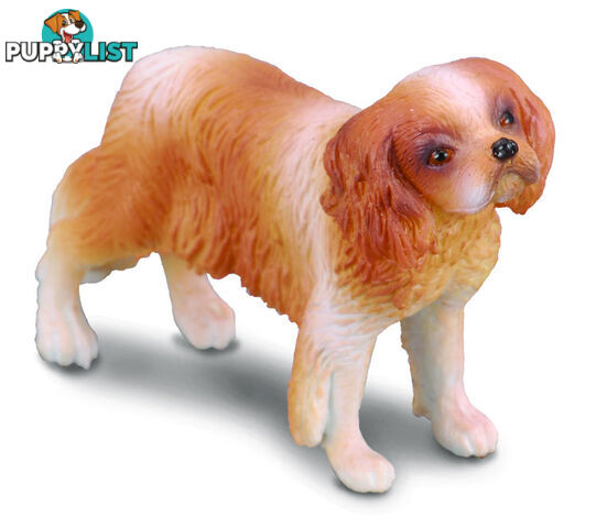 CollectA Cavalier King Charles Spaniel Dog Animal Figurine - Rpco88181 - 4892900881812