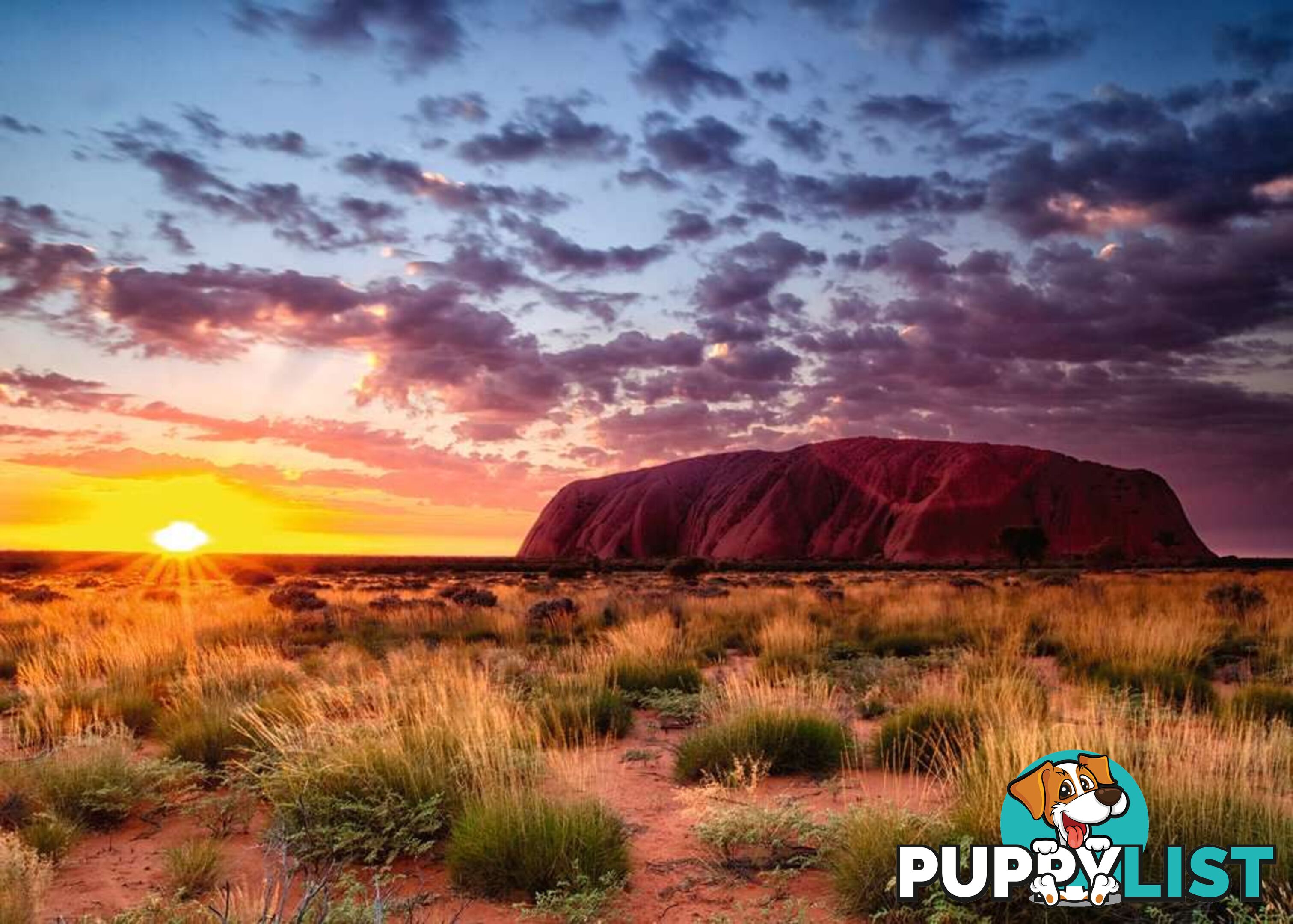 Ravensburger - Ayers Rock Australia Jigsaw Puzzle 1000 Piece Rb15155 - 4005556151554