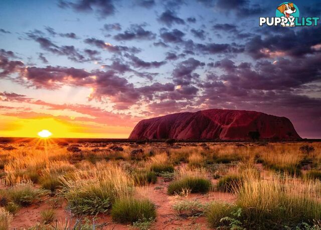 Ravensburger - Ayers Rock Australia Jigsaw Puzzle 1000 Piece Rb15155 - 4005556151554