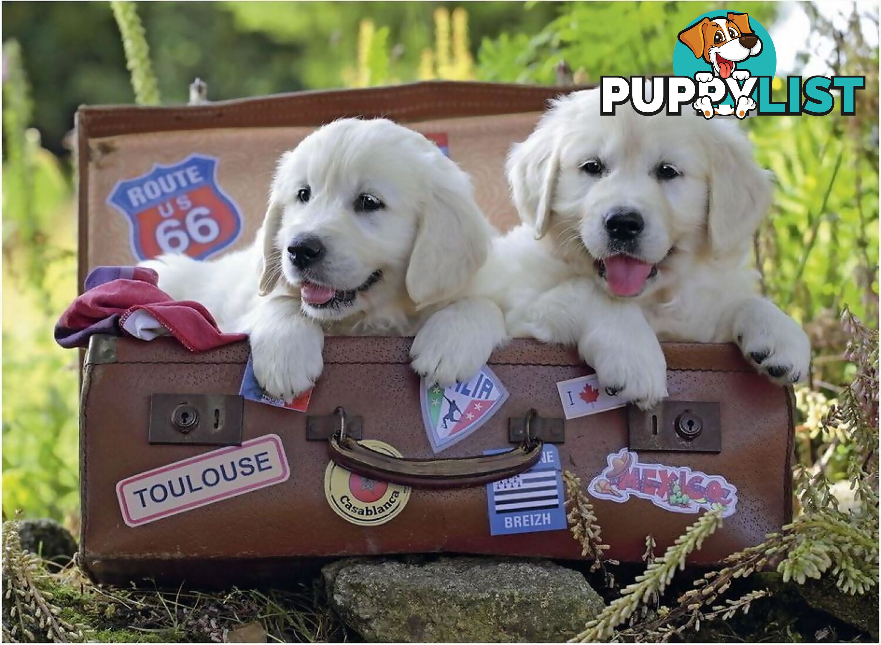 Ravensburger - Travelling Puppies Jigsaw Puzzle 100pc - Mdrb10538 - 4005556105380