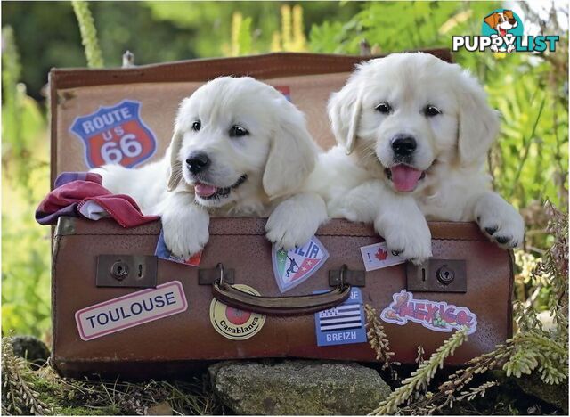 Ravensburger - Travelling Puppies Jigsaw Puzzle 100pc - Mdrb10538 - 4005556105380