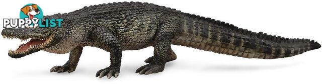 CollectA - American Alligator Large Animal Figurine - Rpco88609 - 4892900886091