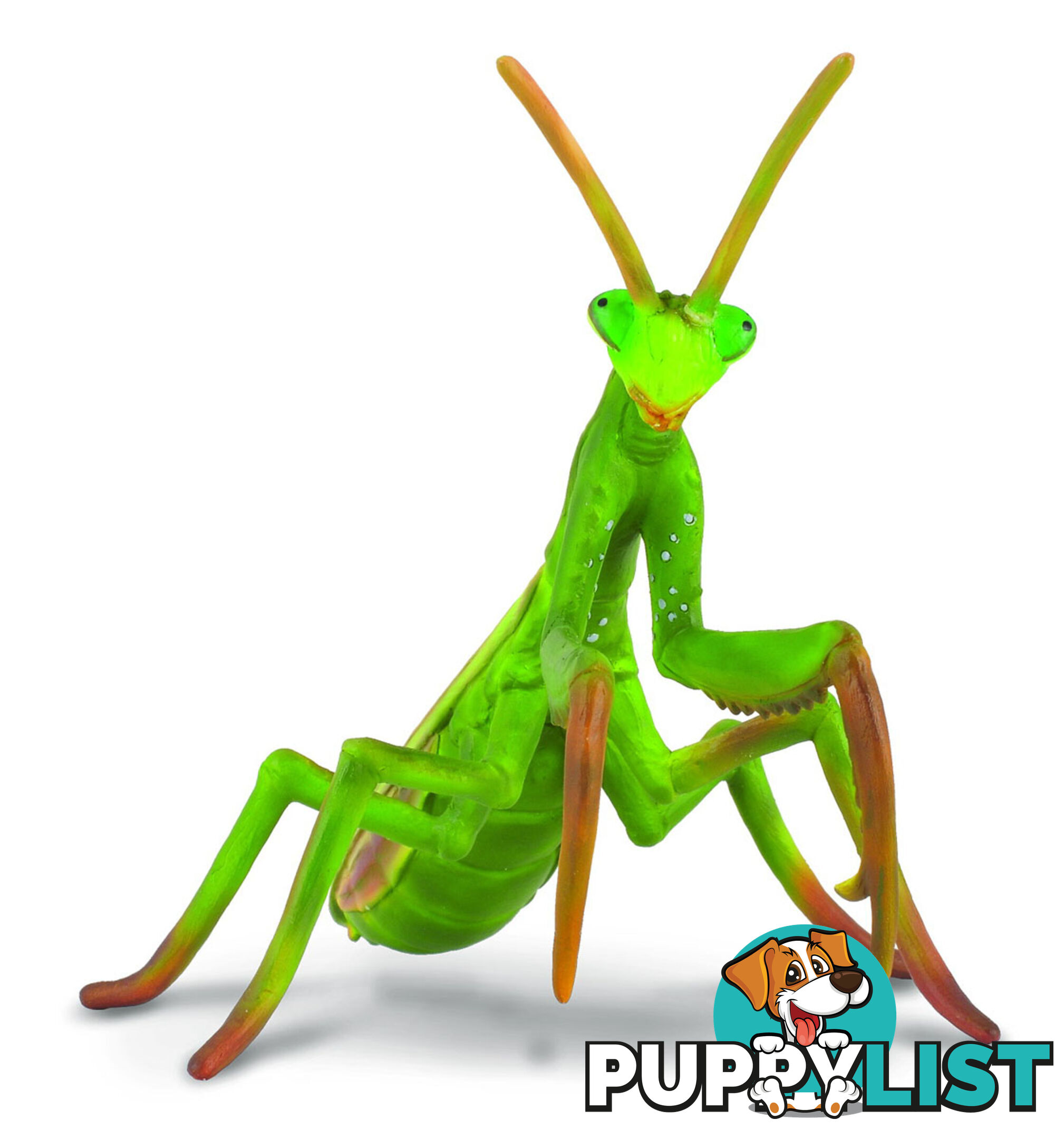 CollectA Praying Mantis Insect Animal Figurine - Rpco88351 - 4892900883519