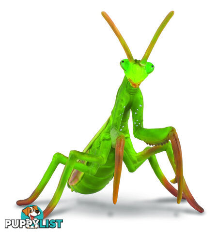 CollectA Praying Mantis Insect Animal Figurine - Rpco88351 - 4892900883519