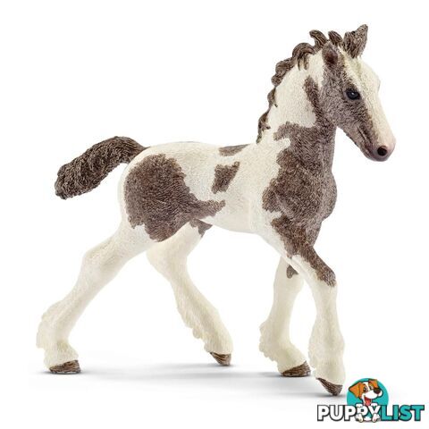 Schleich - Tinker Foal  Farm World Animal Figurine Sc13774 - 4055744027864