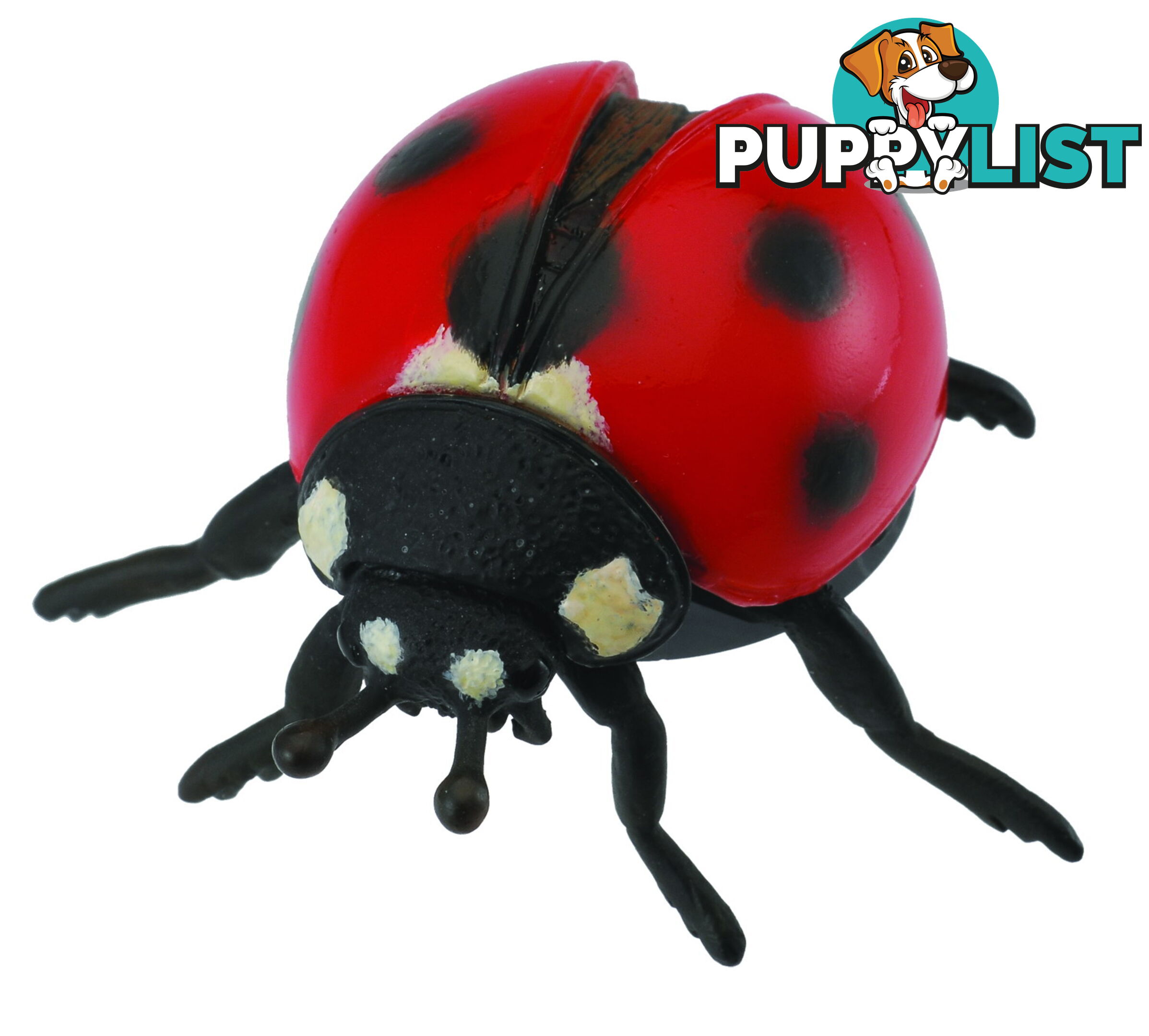 CollectA Ladybird Animal Figurine - Rpco88474 - 4892900884745