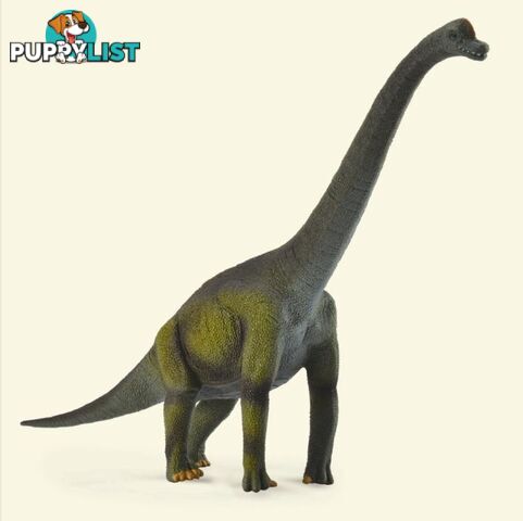 CollectA Brachiosaurus Large Dinosaur Figurine - Rpco88121 - 4892900881218