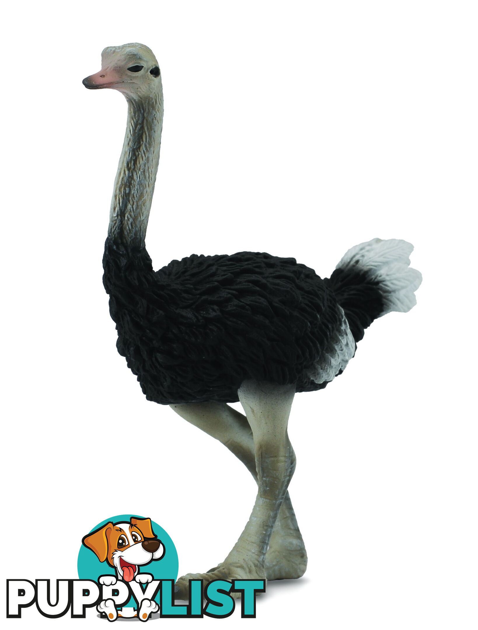 CollectA Ostrich Animal Figurine - Rpco88459 - 4892900884578