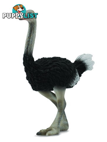 CollectA Ostrich Animal Figurine - Rpco88459 - 4892900884578