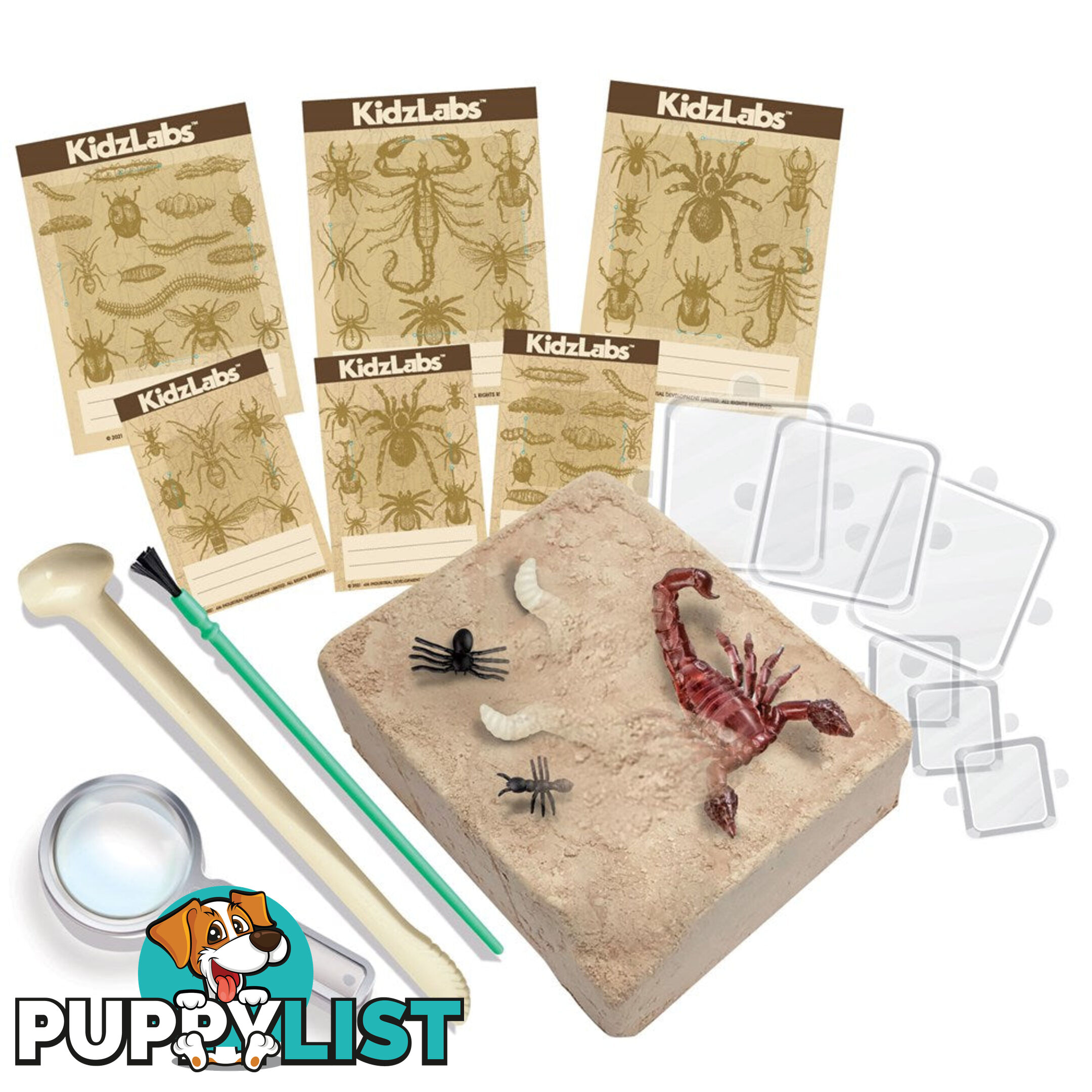 4m - Kidzlabs - Creepy Crawly Digging Kit Jpfsg3397 - 4893156033970