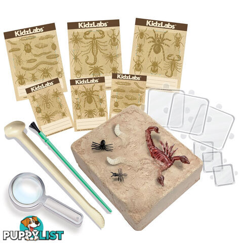 4m - Kidzlabs - Creepy Crawly Digging Kit Jpfsg3397 - 4893156033970