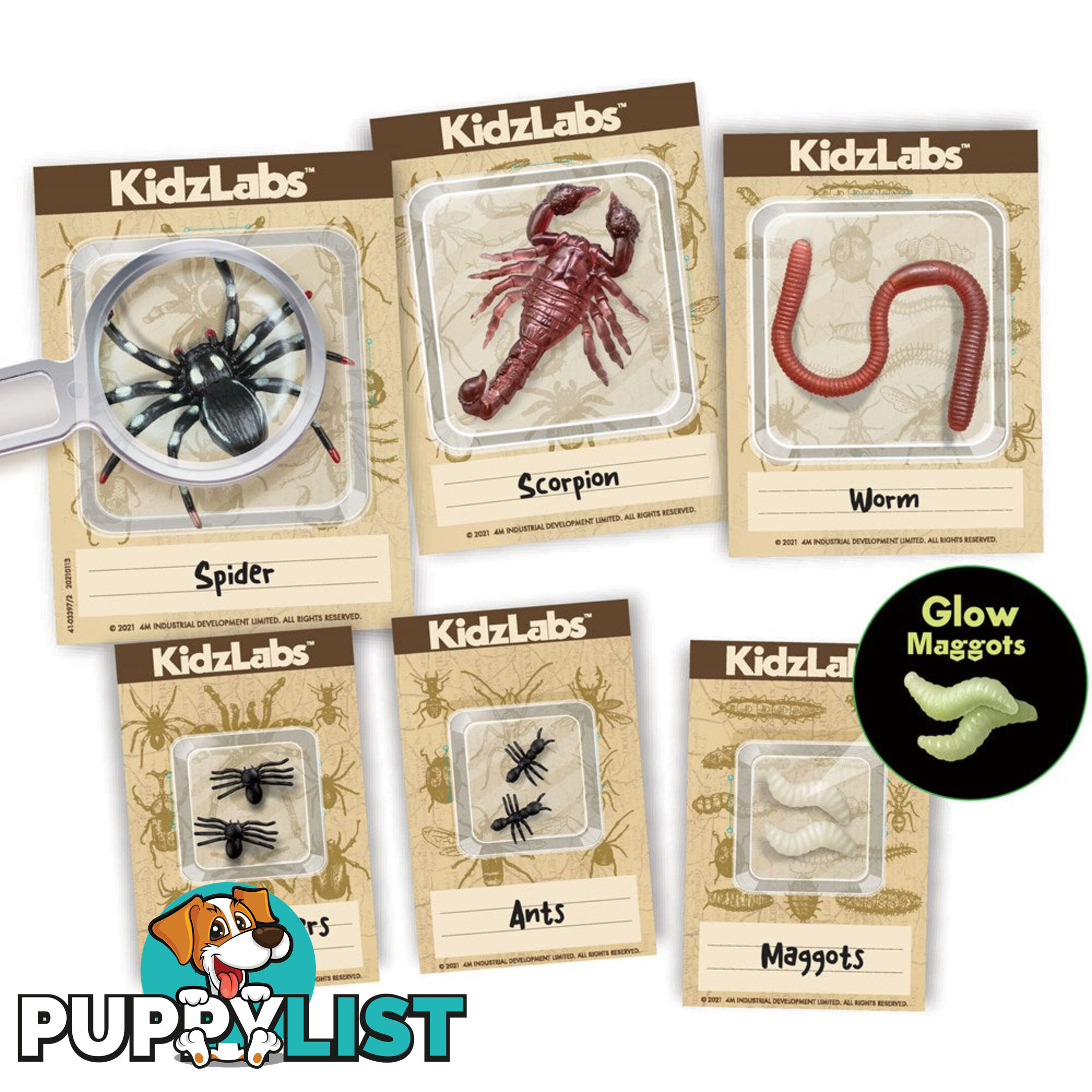 4m - Kidzlabs - Creepy Crawly Digging Kit Jpfsg3397 - 4893156033970