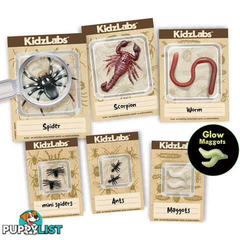 4m - Kidzlabs - Creepy Crawly Digging Kit Jpfsg3397 - 4893156033970