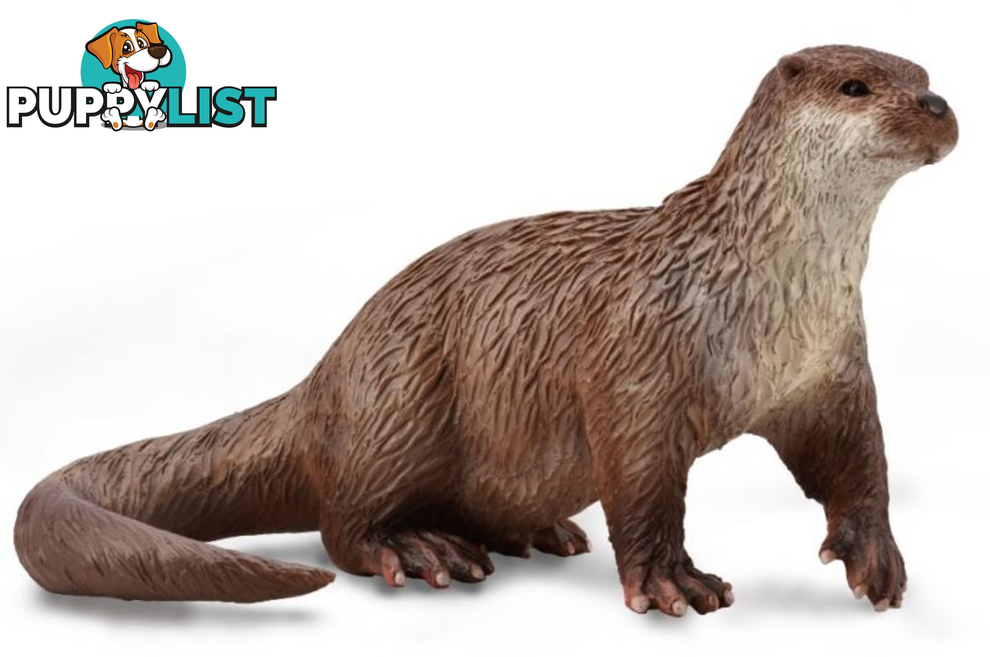 CollectA Common Otter Animal Figurine - Rpco88941 - 4892900889412