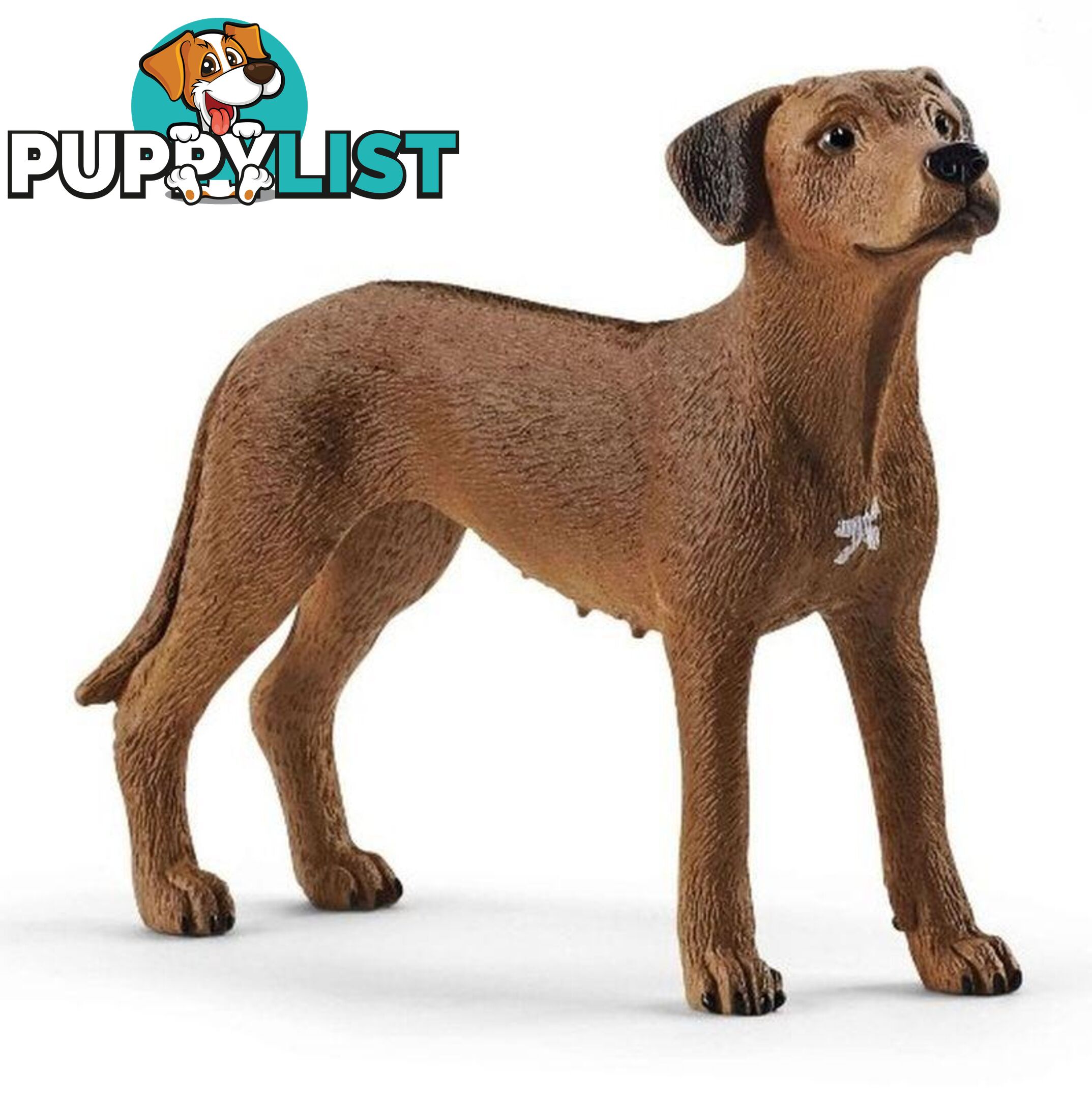 Schleich - Rhodesian Ridgeback Sc13895 - 4059433007229