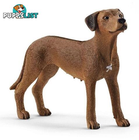 Schleich - Rhodesian Ridgeback Sc13895 - 4059433007229