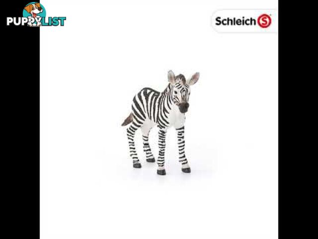 Schleich - Zebra Foal Sc14811 - 4055744020797