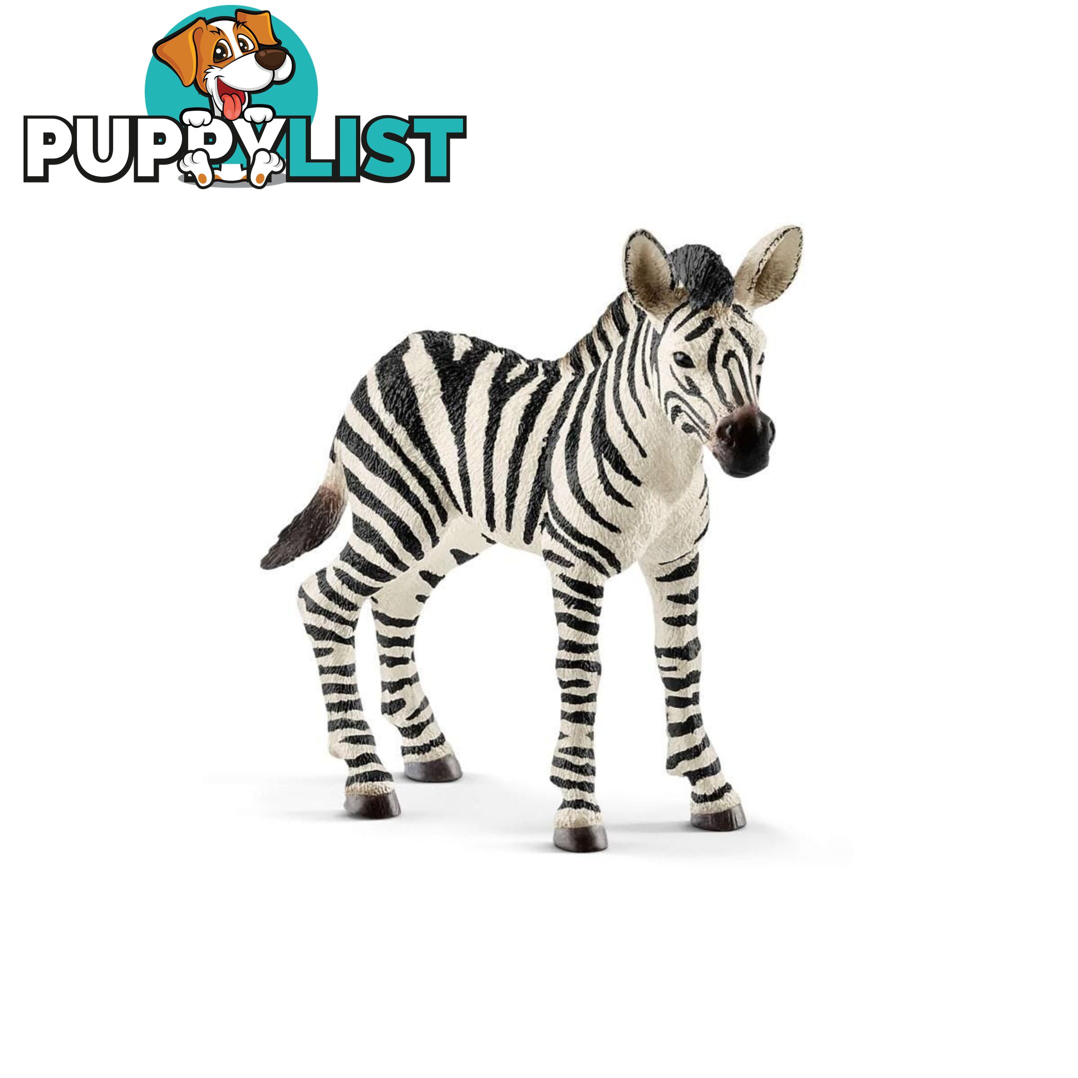 Schleich - Zebra Foal Sc14811 - 4055744020797