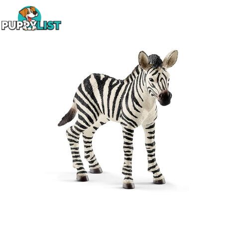 Schleich - Zebra Foal Sc14811 - 4055744020797