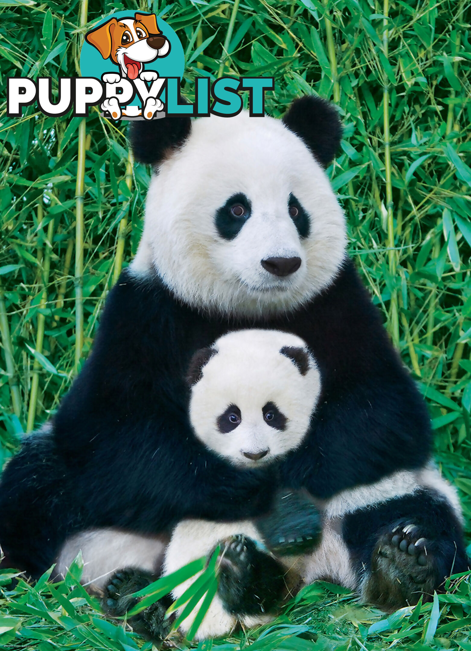 Eurographics - Panda & Baby - Jigsaw Puzzle 1000 Pieces Jdeur60173 - 628136601733