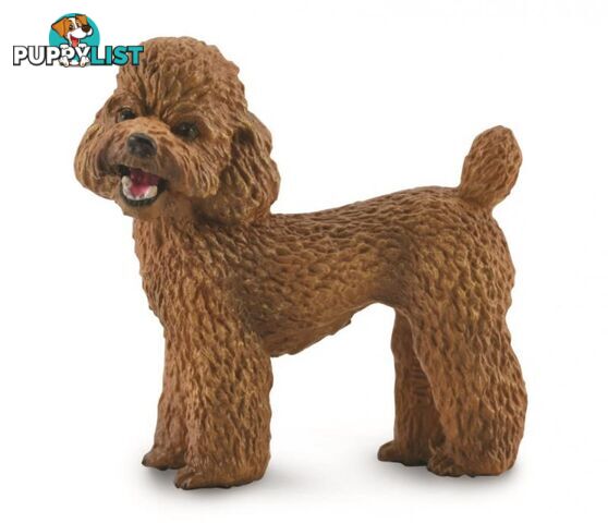 CollectA Poodle Dog Animal Figurine - Rpco88880 - 4892900888804