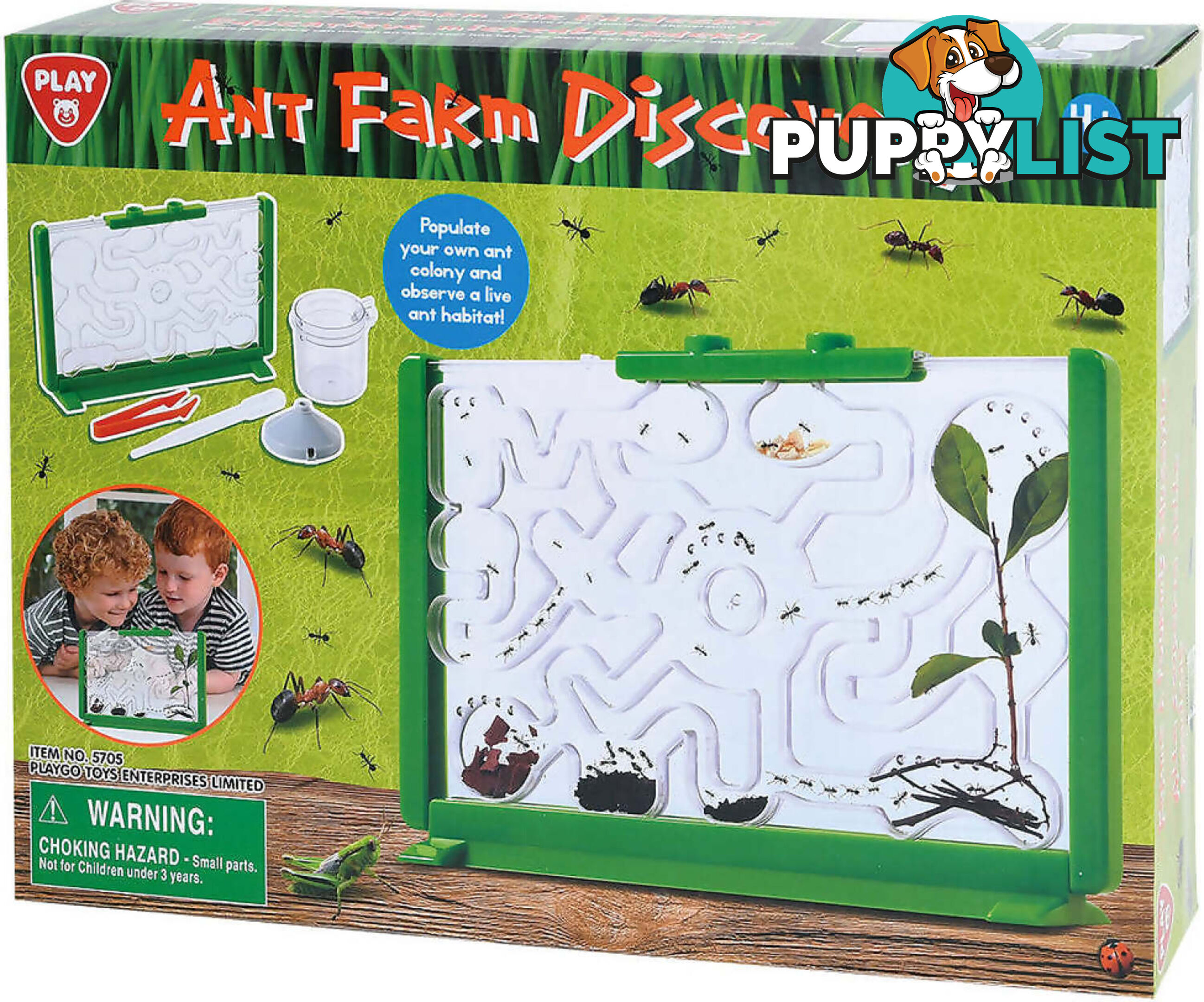 Playgo Toys Ent. Ltd. - Ant Farm Discovery- Art60296 - 4892401057051