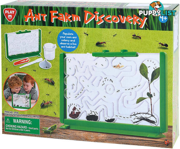 Playgo Toys Ent. Ltd. - Ant Farm Discovery- Art60296 - 4892401057051