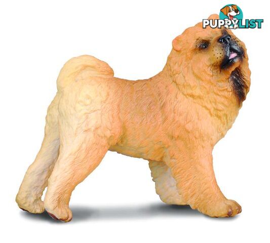 CollectA Chow Chow Dog Animal Figurine - Rpco88183 - 4892900881836