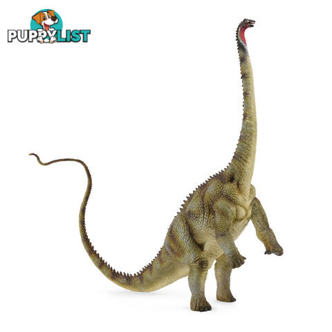 CollectA Diplodocus Extra Large Dinosaur Figurine - Rpco88622 - 4892900886220