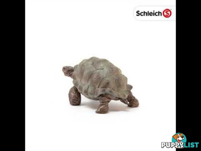 Schleich - Giant Tortoise Sc14824 - 4055744033667