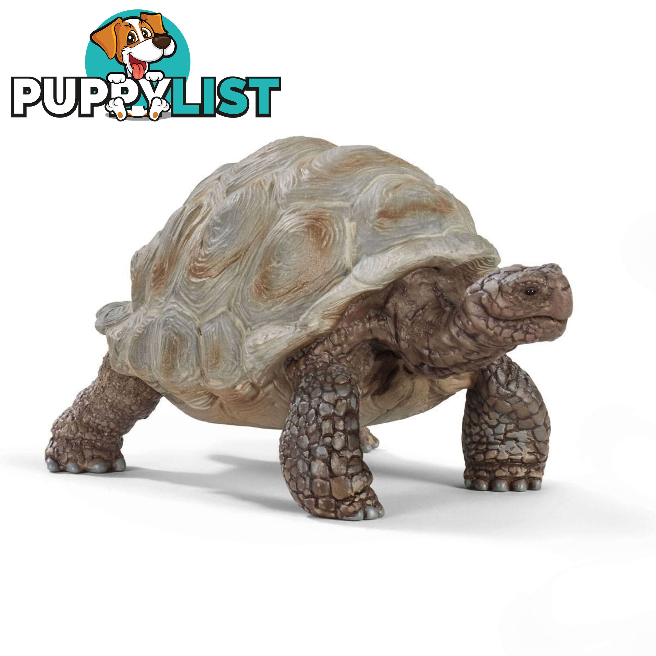 Schleich - Giant Tortoise Sc14824 - 4055744033667