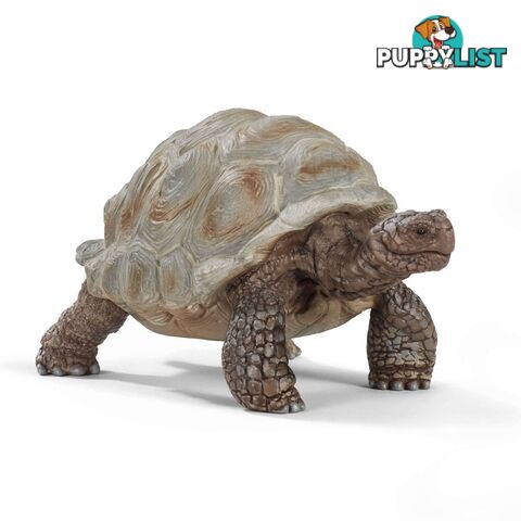 Schleich - Giant Tortoise Sc14824 - 4055744033667