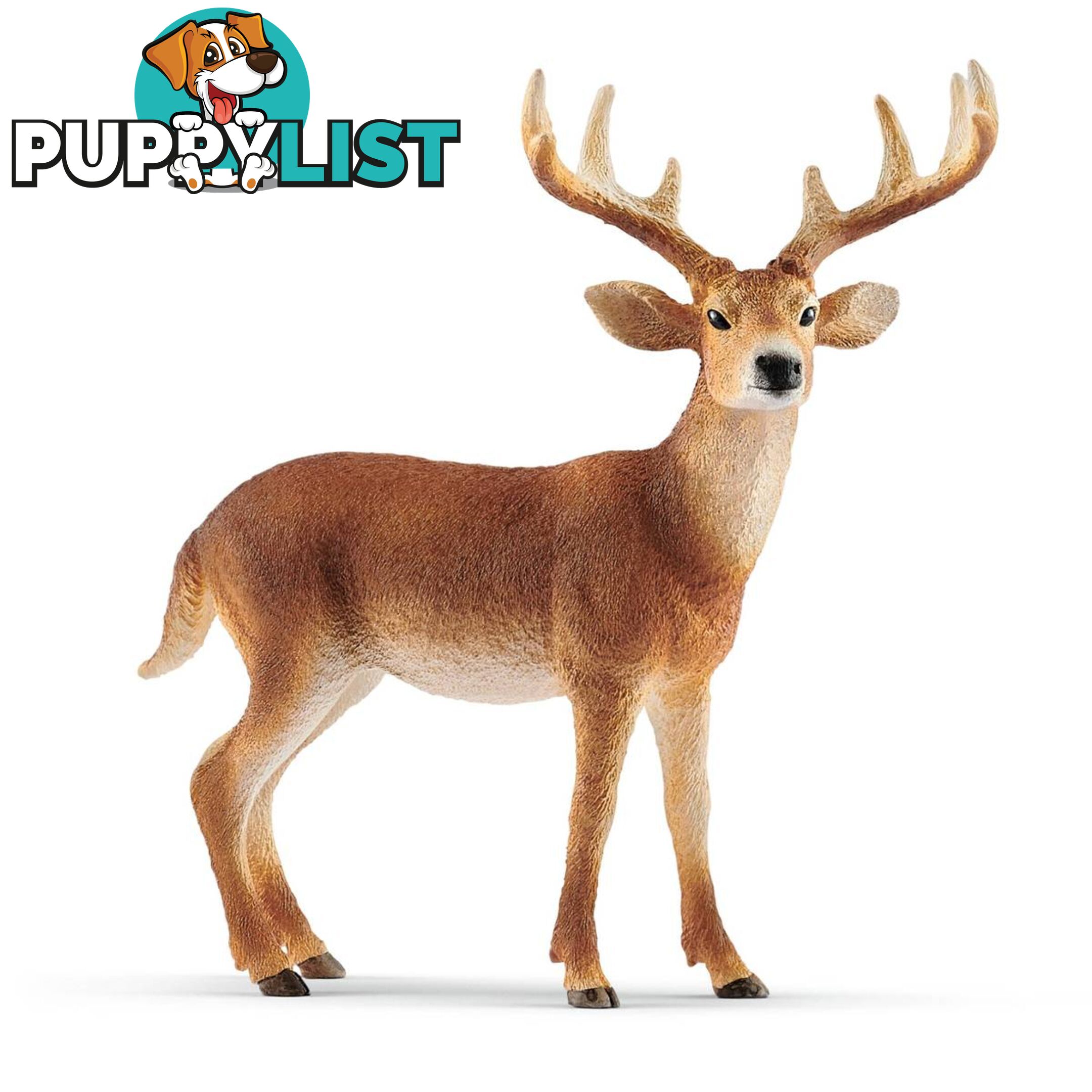 Schleich - White Tailed Buck Sc14818 - 4055744029608