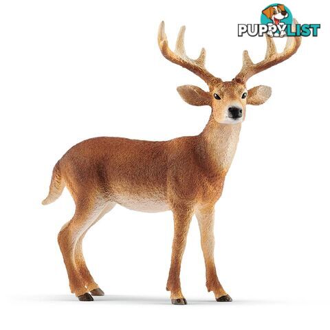 Schleich - White Tailed Buck Sc14818 - 4055744029608