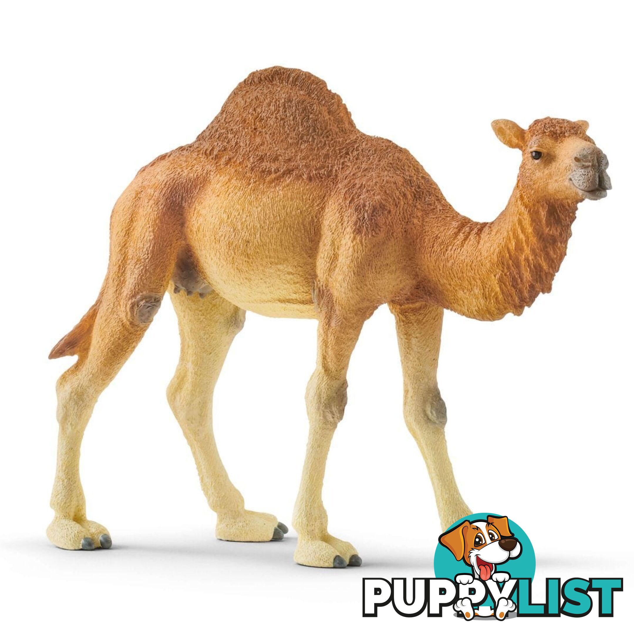 Schleich - Dromedary Sc14832 - 4059433039671