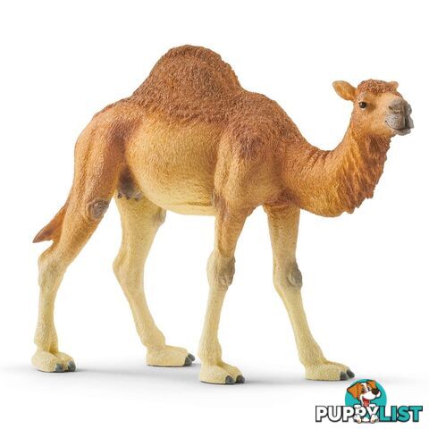 Schleich - Dromedary Sc14832 - 4059433039671