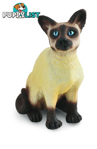 CollectA Siamese Cat Sitting Animal Figurine - Rpco88331 - 4892900883311