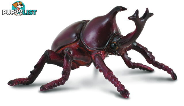 CollectA Rhinoceros Beetle Animal Figurine - Rpco88337 - 4892900883373