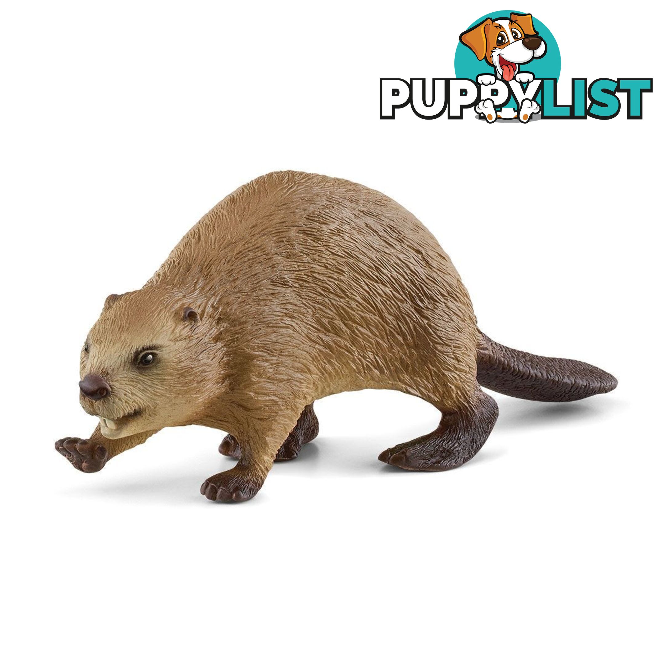 Schleich - Beaver   Wildlife Animal Figurine Sc14855 - 4059433364582