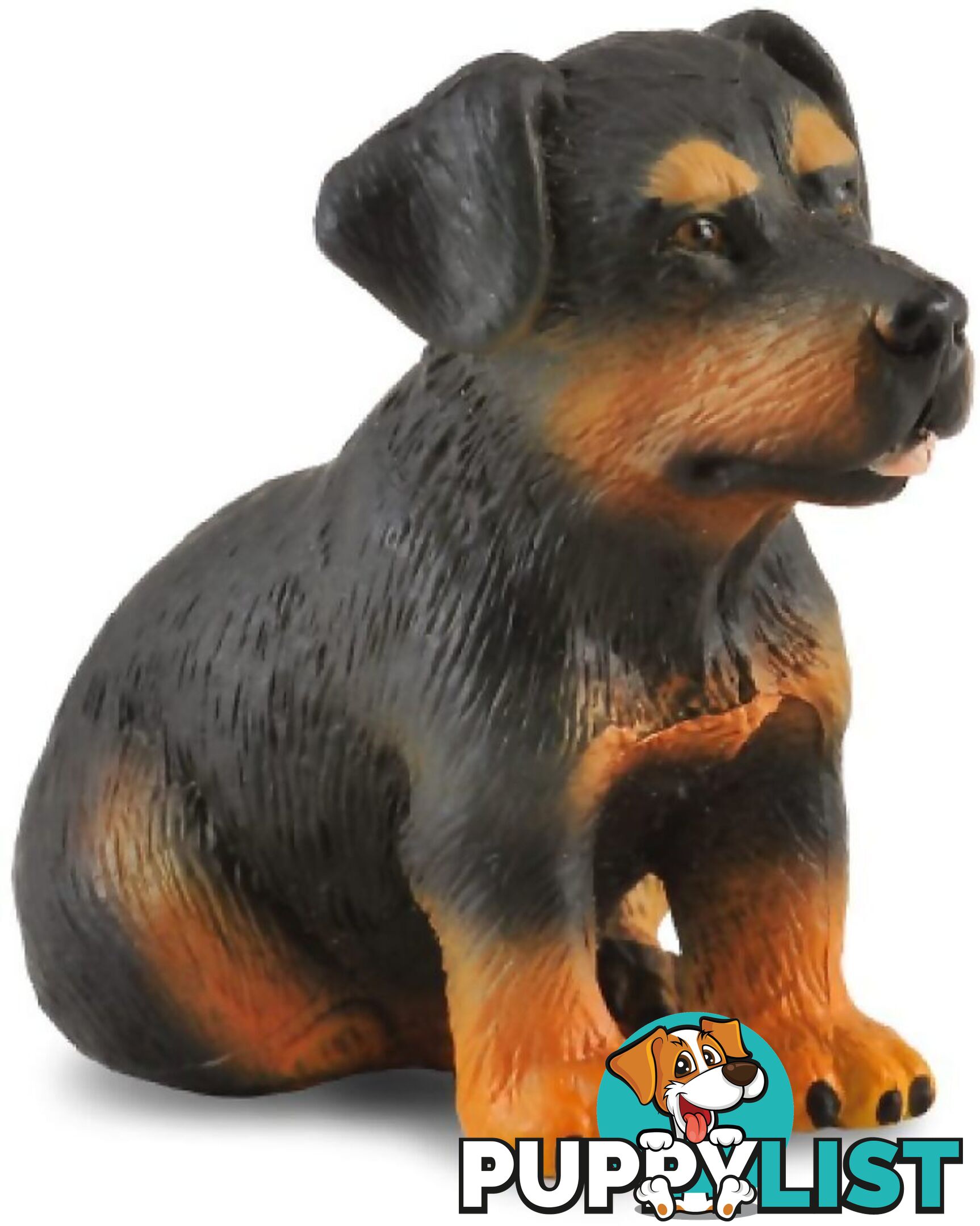 CollectA - Rottweiler Puppy Dog Small Figurine - Rpco88190 - 4892900881904