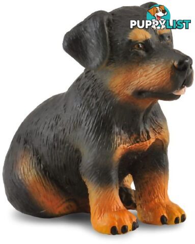 CollectA - Rottweiler Puppy Dog Small Figurine - Rpco88190 - 4892900881904