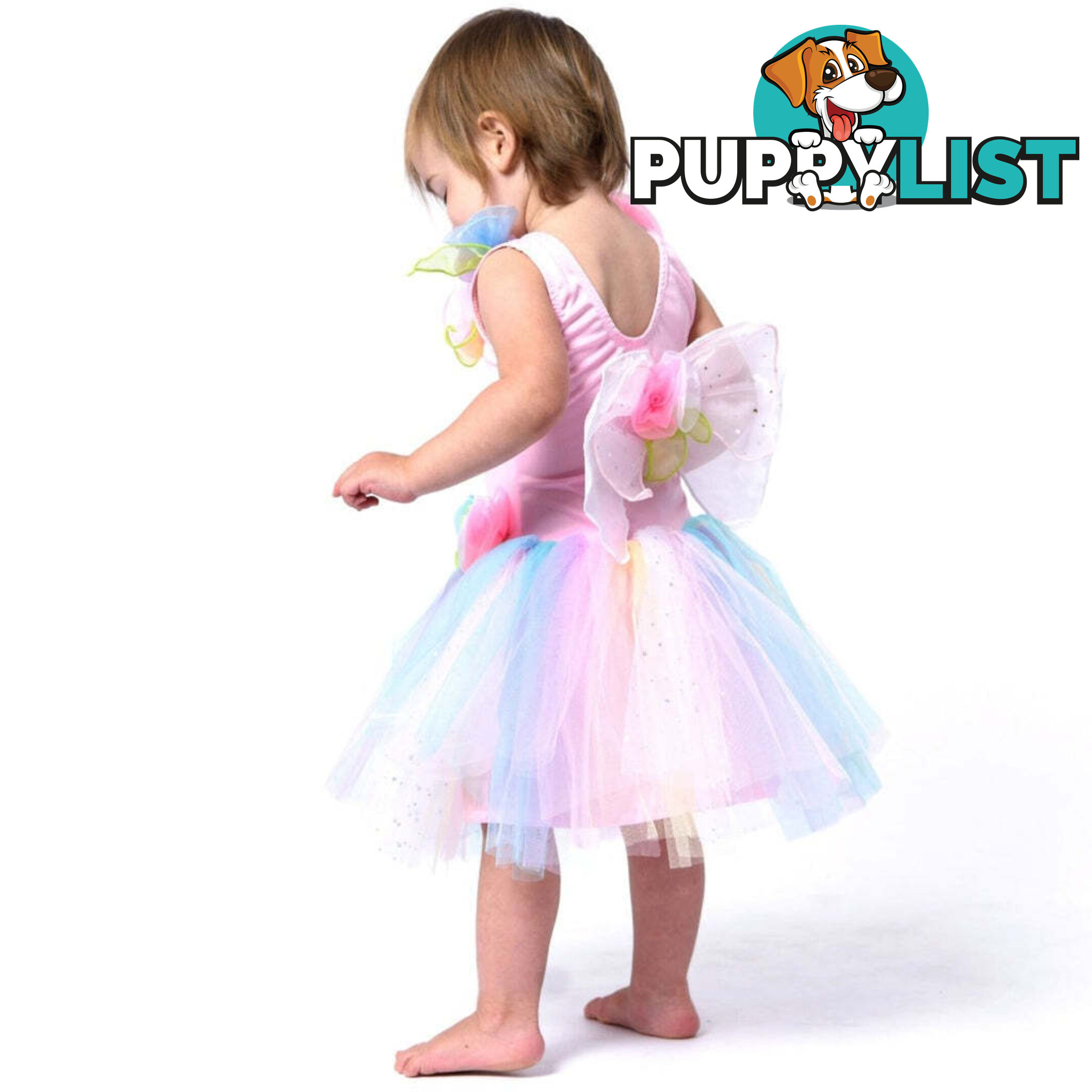 Fairy Girls - Costume Fairy Pastel Toddler X-small - Fgfb258 - 9787117032582