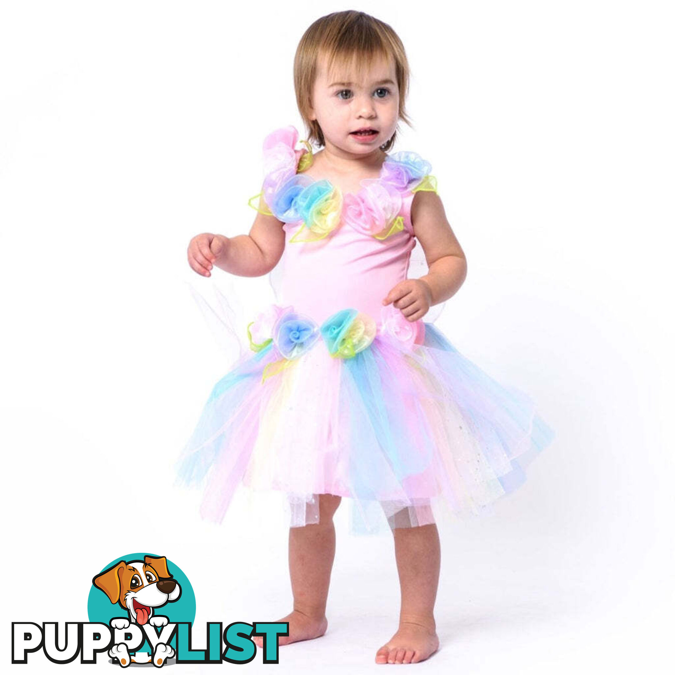 Fairy Girls - Costume Fairy Pastel Toddler X-small - Fgfb258 - 9787117032582