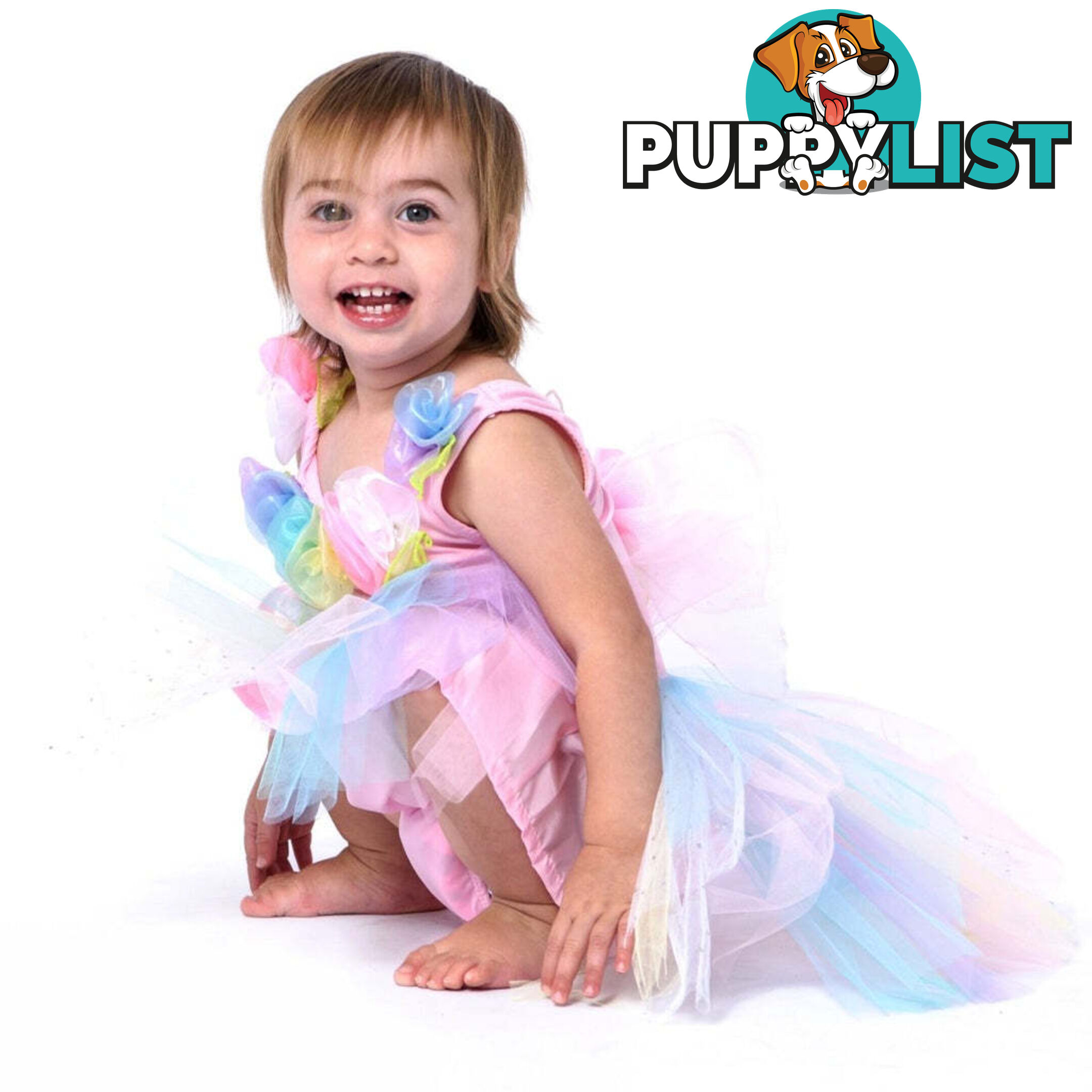 Fairy Girls - Costume Fairy Pastel Toddler X-small - Fgfb258 - 9787117032582