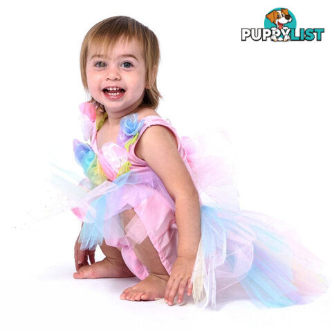 Fairy Girls - Costume Fairy Pastel Toddler X-small - Fgfb258 - 9787117032582