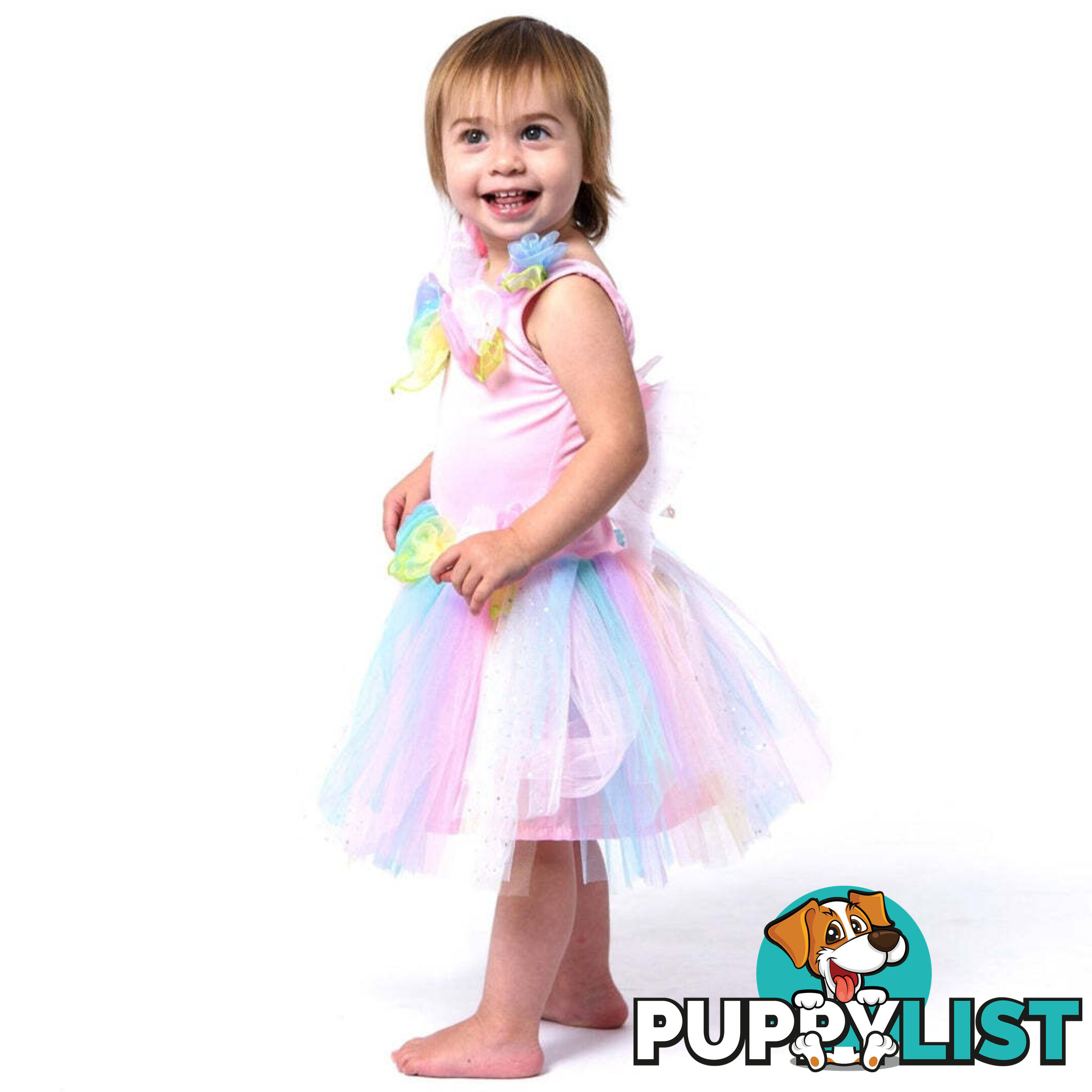 Fairy Girls - Costume Fairy Pastel Toddler X-small - Fgfb258 - 9787117032582