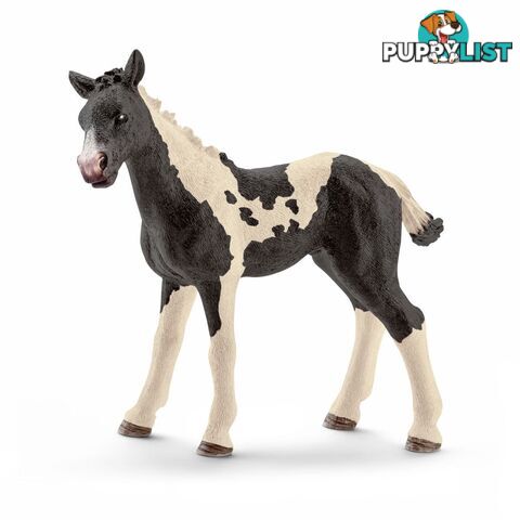 Schleich - Pinto Foal  Farm World Animal Figurine Sc13803 - 4005086138032