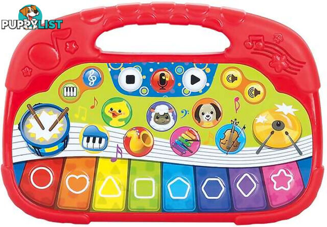 Playgo Toys Ent. Ltd. - Animal Orchestra Keyboard - Art66131 - 4892401013507