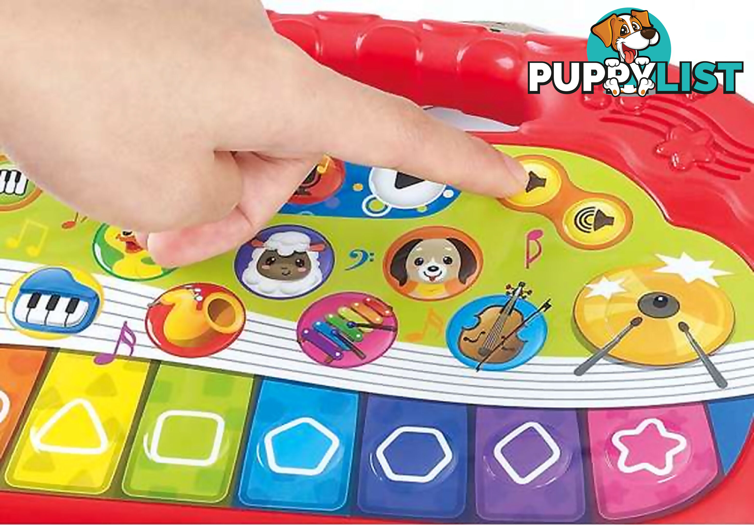 Playgo Toys Ent. Ltd. - Animal Orchestra Keyboard - Art66131 - 4892401013507