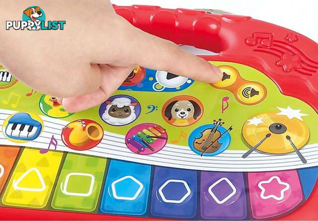 Playgo Toys Ent. Ltd. - Animal Orchestra Keyboard - Art66131 - 4892401013507